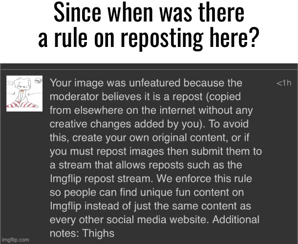 Look I get yall didn’t like it but we just gonna pull rules out of our ass? | Since when was there a rule on reposting here? | made w/ Imgflip meme maker