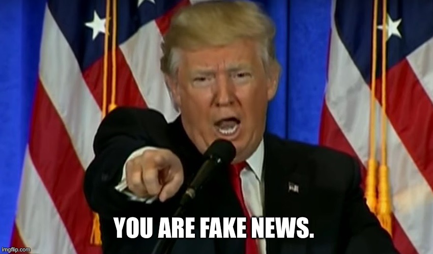 Trump Fake News  | YOU ARE FAKE NEWS. | image tagged in trump fake news | made w/ Imgflip meme maker