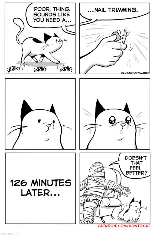 How to Cat | image tagged in cats,how to cat,nail trimming,ordeal | made w/ Imgflip meme maker