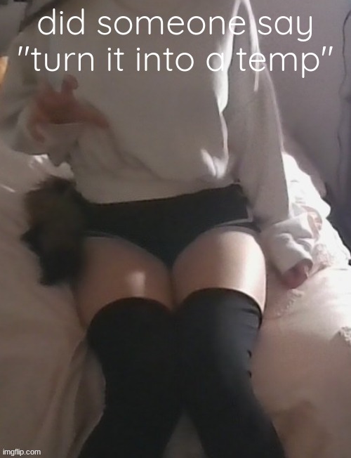 moons thighs | did someone say "turn it into a temp" | image tagged in moons thighs | made w/ Imgflip meme maker