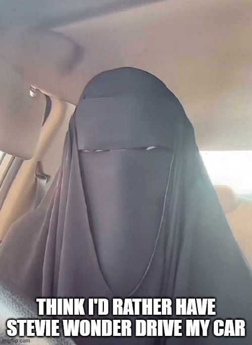 Burqaa Burqaa Burqaa | THINK I'D RATHER HAVE STEVIE WONDER DRIVE MY CAR | image tagged in dark humor | made w/ Imgflip meme maker
