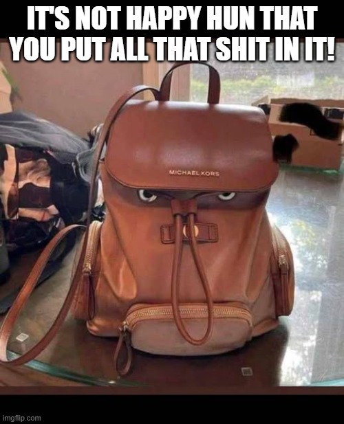 Angry Bag | IT'S NOT HAPPY HUN THAT YOU PUT ALL THAT SHIT IN IT! | image tagged in funny,memes | made w/ Imgflip meme maker