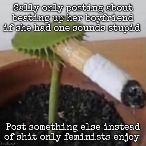 plant weeds | Sally only posting about beating up her boyfriend if she had one sounds stupid; Post something else instead of shit only feminists enjoy | image tagged in plant weeds,msmg | made w/ Imgflip meme maker
