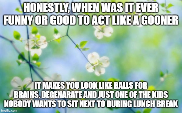 my opinion, fuck yall | HONESTLY, WHEN WAS IT EVER FUNNY OR GOOD TO ACT LIKE A GOONER; IT MAKES YOU LOOK LIKE BALLS FOR BRAINS, DEGENARATE AND JUST ONE OF THE KIDS NOBODY WANTS TO SIT NEXT TO DURING LUNCH BREAK | image tagged in flowers | made w/ Imgflip meme maker
