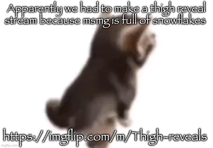 Side el gatito | Apparently we had to make a thigh reveal stream because msmg is full of snowflakes; https://imgflip.com/m/Thigh-reveals | image tagged in side el gatito | made w/ Imgflip meme maker
