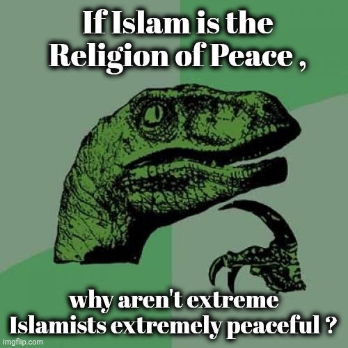 Why would God want us to fight over how to worship him ? | If Islam is the Religion of Peace , why aren't extreme Islamists extremely peaceful ? | image tagged in memes,philosoraptor,questions,islamophobia,well yes but actually no,that's enough hate | made w/ Imgflip meme maker