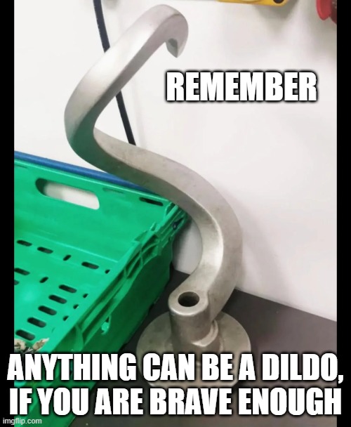 Anything! | REMEMBER; ANYTHING CAN BE A DILDO, IF YOU ARE BRAVE ENOUGH | image tagged in sex jokes | made w/ Imgflip meme maker