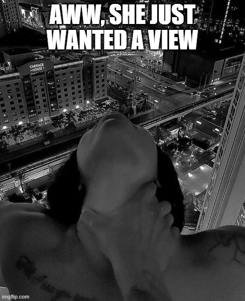 The View | AWW, SHE JUST WANTED A VIEW | image tagged in sex jokes | made w/ Imgflip meme maker
