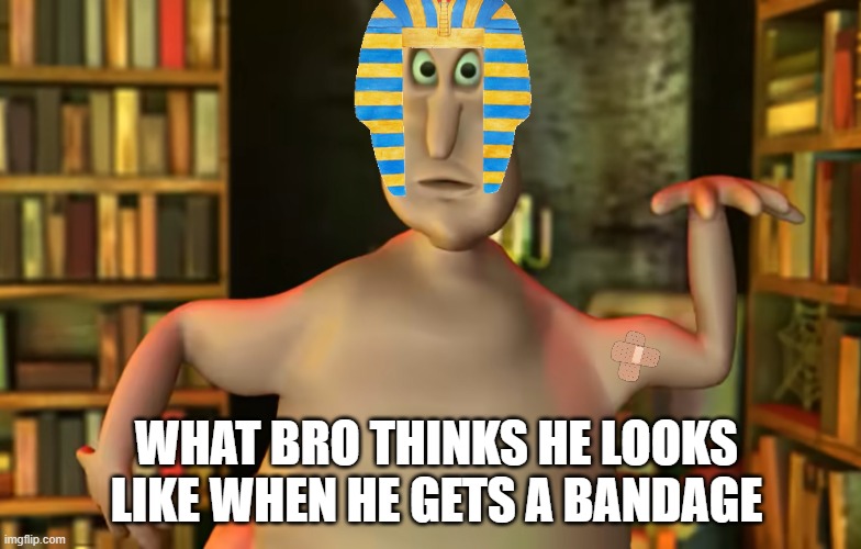 bro thinks hes a mummy | WHAT BRO THINKS HE LOOKS LIKE WHEN HE GETS A BANDAGE | image tagged in globglogabgalab | made w/ Imgflip meme maker
