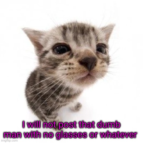 El gatito | I will not post that dumb man with no glasses or whatever | image tagged in el gatito | made w/ Imgflip meme maker