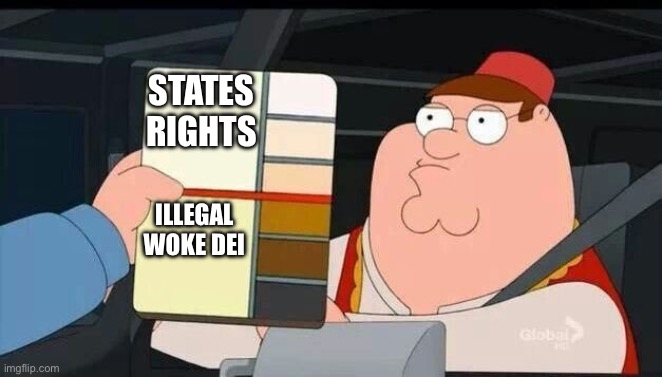 Peter Griffin skin color chart race terrorist blank | STATES RIGHTS; ILLEGAL WOKE DEI | image tagged in peter griffin skin color chart race terrorist blank | made w/ Imgflip meme maker
