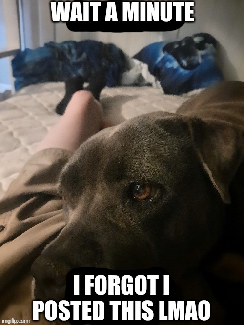 does this count as a thigh reveal, since my thighs are visible?(this was back when I still had a phone T-T) | WAIT A MINUTE; I FORGOT I POSTED THIS LMAO | made w/ Imgflip meme maker