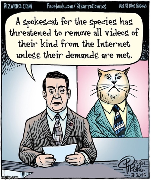 A real nightmare scenario… | image tagged in cats,comics,bizarro comics,ultimatum | made w/ Imgflip meme maker