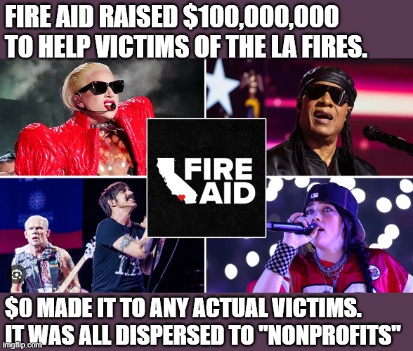 Waste, fraud, or abuse? | FIRE AID RAISED $100,000,000 TO HELP VICTIMS OF THE LA FIRES. $0 MADE IT TO ANY ACTUAL VICTIMS. IT WAS ALL DISPERSED TO "NONPROFITS" | image tagged in waste,fraud,abuse,memes,fire aid | made w/ Imgflip meme maker