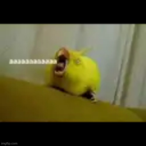 AAAAAAAAAAAAAAAAAAAAAAA | image tagged in aaaaaaaaaaaaaaaaaaaaaaa | made w/ Imgflip meme maker