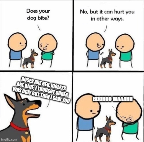 does your dog bite | ROSES ARE RED, VIOLETS ARE BLUE, I THOUGHT SHREK WAS UGLY BUT THEN I SAW YOU; BOOHOO WAAAHH | image tagged in does your dog bite | made w/ Imgflip meme maker