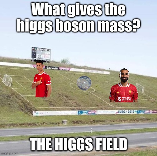 hehe i made a bad pun | What gives the higgs boson mass? THE HIGGS FIELD | image tagged in angled football pitch | made w/ Imgflip meme maker