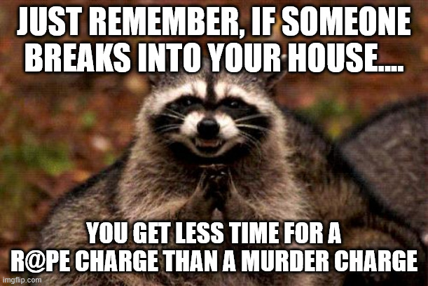 Breaking and Entering? LOL!! | JUST REMEMBER, IF SOMEONE BREAKS INTO YOUR HOUSE.... YOU GET LESS TIME FOR A R@PE CHARGE THAN A MURDER CHARGE | image tagged in evil plotting raccoon,fafo,wrong house bozo | made w/ Imgflip meme maker