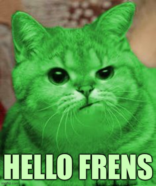 RayCat Annoyed | HELLO FRENS | image tagged in raycat annoyed | made w/ Imgflip meme maker