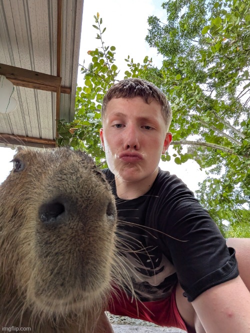 Gatorland, Orlando Florida | image tagged in pringle capybara | made w/ Imgflip meme maker