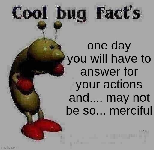 Cool Bug Facts | one day you will have to answer for your actions and.... may not be so... merciful | image tagged in cool bug facts | made w/ Imgflip meme maker