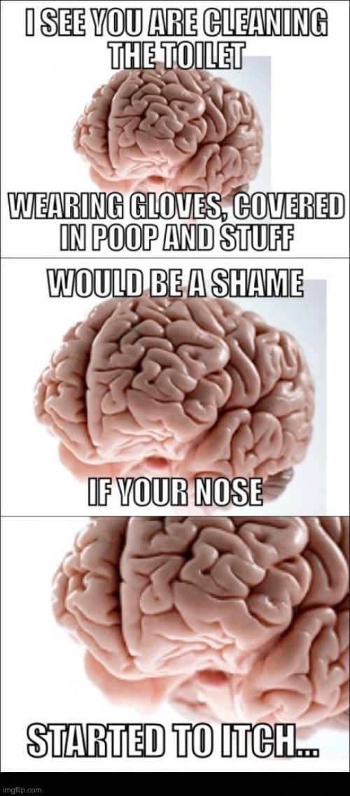 This Happens to me when I'm cleaning the litter box | image tagged in scumbag brain,poop,shame,timing,annoying,itching | made w/ Imgflip meme maker