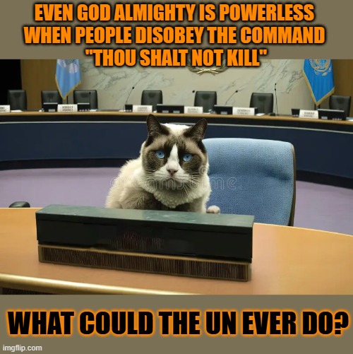 This #lolcat wonders if the UN could be more powerful than God | EVEN GOD ALMIGHTY IS POWERLESS 
WHEN PEOPLE DISOBEY THE COMMAND 
"THOU SHALT NOT KILL"; WHAT COULD THE UN EVER DO? | image tagged in god,united nations,power,war,violence,lolcat | made w/ Imgflip meme maker