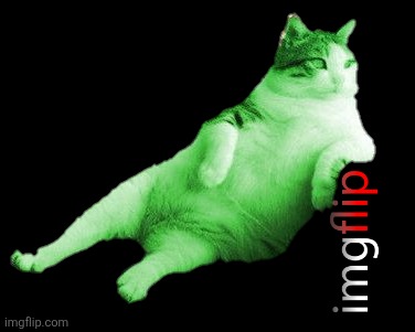 Chillin RayCat sticker | image tagged in chillin raycat sticker | made w/ Imgflip meme maker