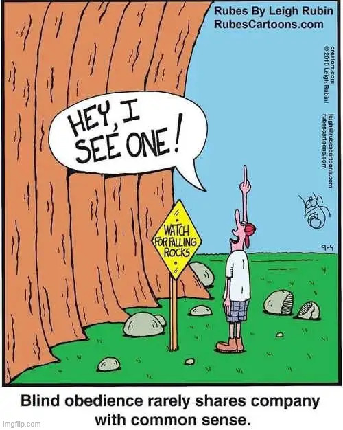 Common sense vs blind obedience | image tagged in repost,common sense vs blind obedience | made w/ Imgflip meme maker