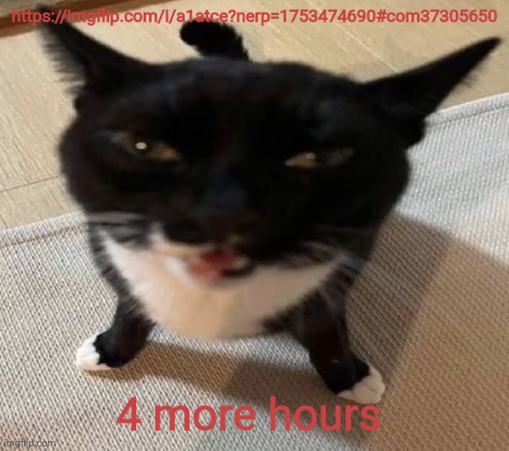 Cat of anger | https://imgflip.com/i/a1atce?nerp=1753474690#com37305650; 4 more hours | image tagged in cat of anger | made w/ Imgflip meme maker