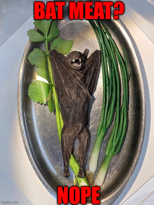 Nope | BAT MEAT? NOPE | image tagged in bats,nope,oh hell no,creepy,disturbing,nasty food | made w/ Imgflip meme maker