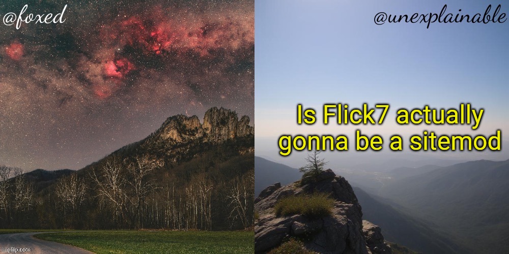 also which text is better white, green or yellow | Is Flick7 actually gonna be a sitemod | image tagged in the fox is unexplainable | made w/ Imgflip meme maker