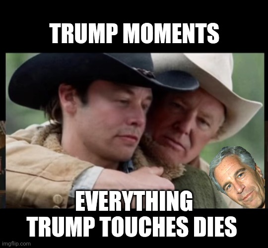 Gay Trump and Elon | TRUMP MOMENTS EVERYTHING TRUMP TOUCHES DIES | image tagged in gay trump and elon | made w/ Imgflip meme maker