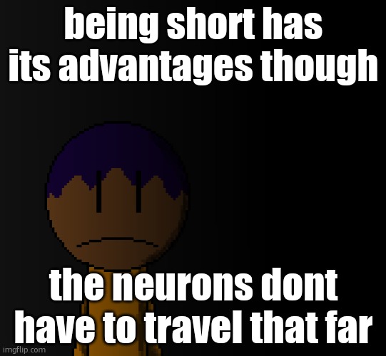 quick reaction time | being short has its advantages though; the neurons dont have to travel that far | image tagged in brother | made w/ Imgflip meme maker