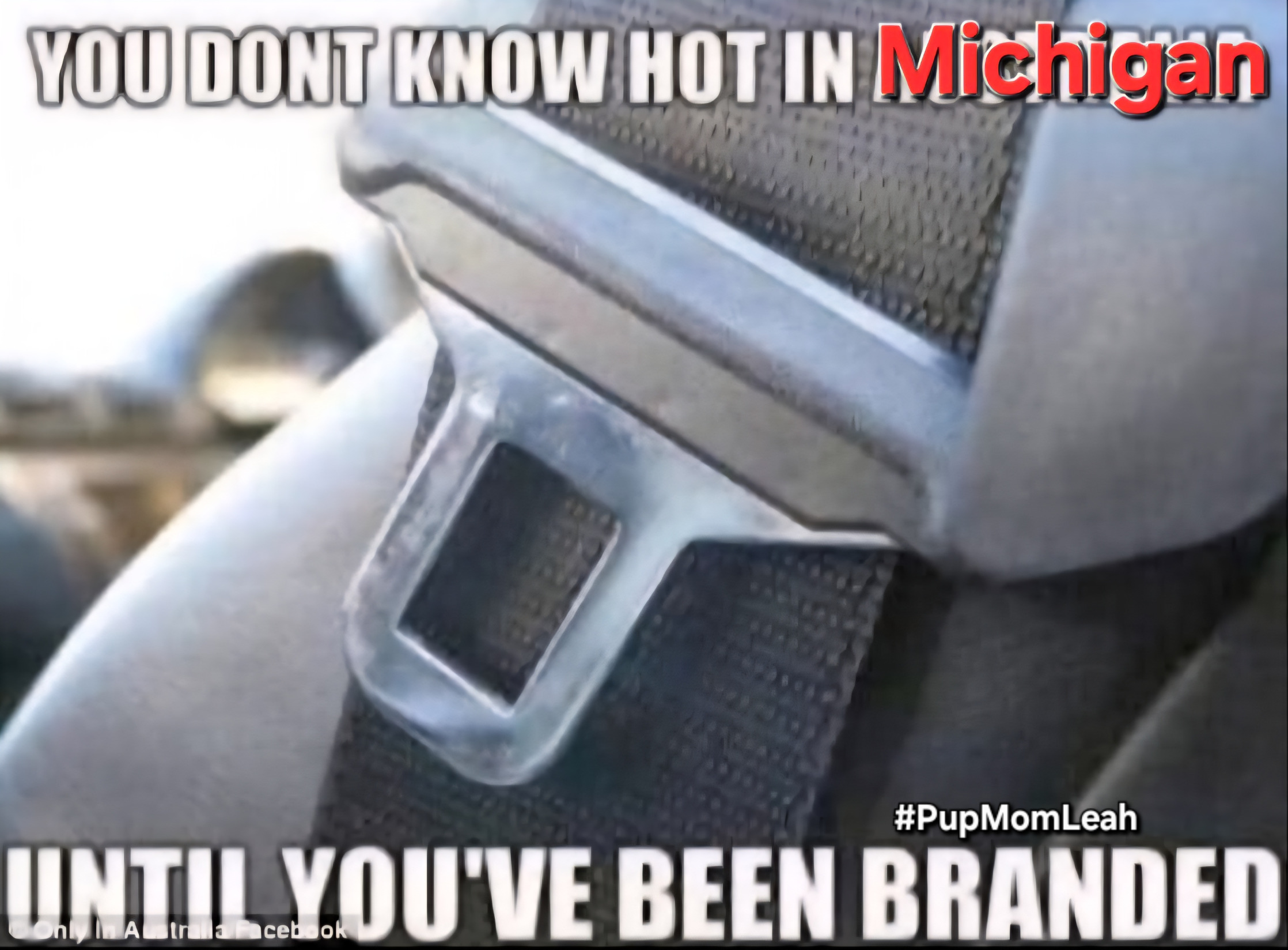 Branded in Michigan Blank Meme Template