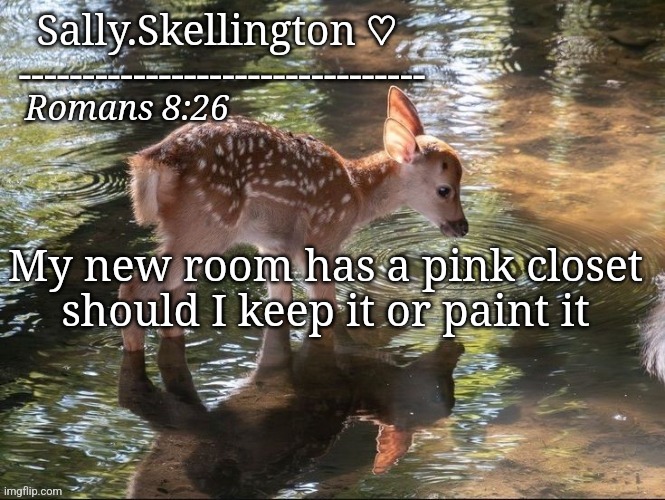 Sally's temp | My new room has a pink closet should I keep it or paint it | image tagged in sally's temp | made w/ Imgflip meme maker