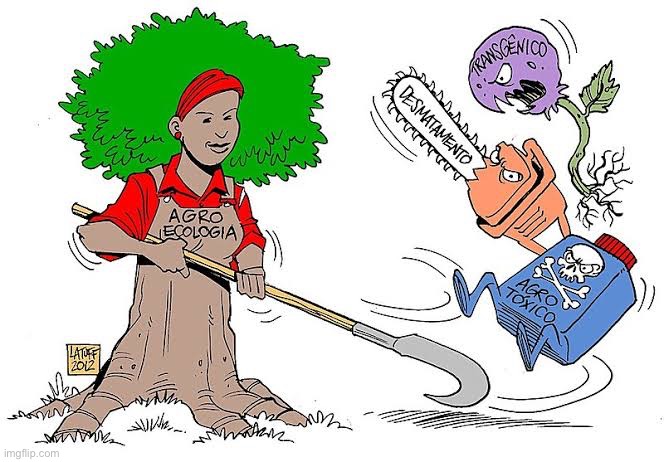 Is that chomper and pochita? | image tagged in what did latuff mean by this,memes,shitpost,plants vs zombies,chainsaw man | made w/ Imgflip meme maker