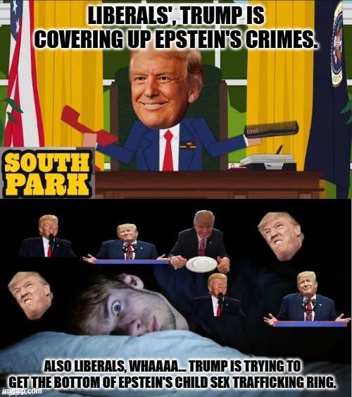 Liberals hate Trump more than they care about the victims of Epstein. | LIBERALS', TRUMP IS COVERING UP EPSTEIN'S CRIMES. ALSO LIBERALS, WHAAAA... TRUMP IS TRYING TO GET THE BOTTOM OF EPSTEIN'S CHILD SEX TRAFFICKING RING. | image tagged in south park trump,extreme tds | made w/ Imgflip meme maker