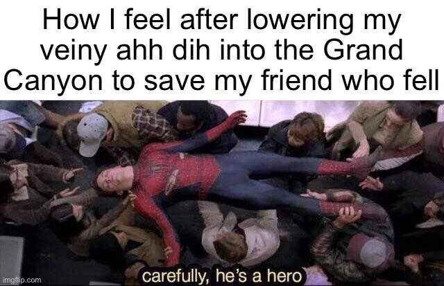 An actually GOOD fun stream meme??? | How I feel after lowering my
veiny ahh dih into the Grand Canyon to save my friend who fell | image tagged in carefully he's a hero | made w/ Imgflip meme maker