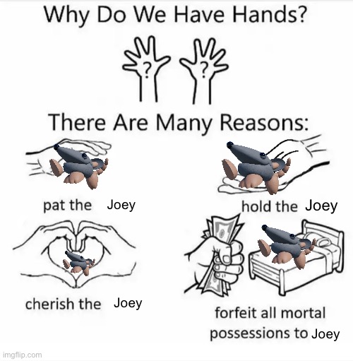 Joey | Joey; Joey; Joey; Joey | image tagged in why do we have hands all blank,grace | made w/ Imgflip meme maker