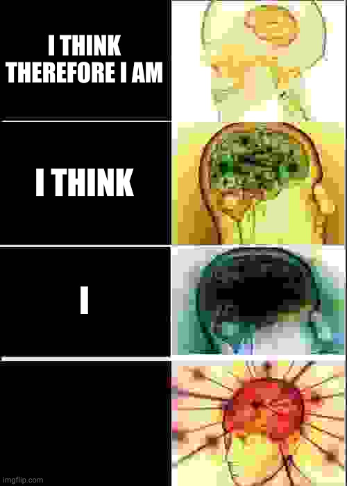 Expanding Brain | I THINK THEREFORE I AM; I THINK; I | image tagged in memes,expanding brain | made w/ Imgflip meme maker