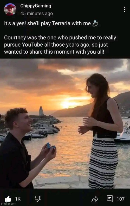 What a legend | image tagged in chippygaming,youtube,posts,terraria,screenshot | made w/ Imgflip meme maker