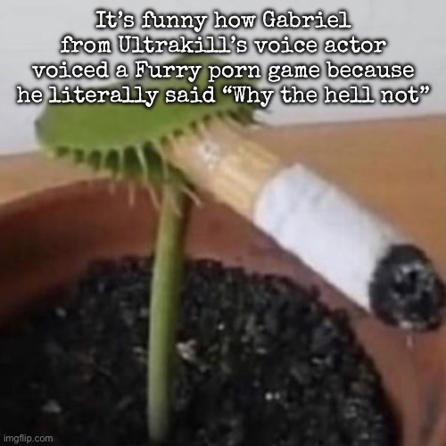 plant weeds | It’s funny how Gabriel from Ultrakill’s voice actor voiced a Furry porn game because he literally said “Why the hell not” | image tagged in plant weeds,msmg | made w/ Imgflip meme maker