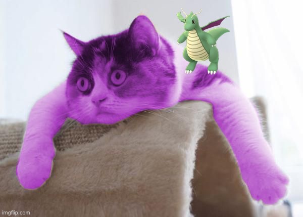image tagged in raycat stare | made w/ Imgflip meme maker