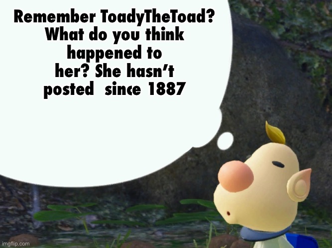 Louie | Remember ToadyTheToad?

What do you think happened to her? She hasn’t posted  since 1887 | image tagged in louie | made w/ Imgflip meme maker
