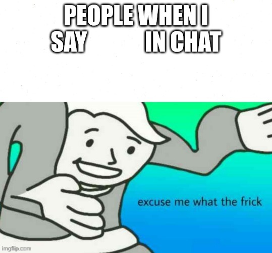 excuse me what the frick | PEOPLE WHEN I SAY             IN CHAT | image tagged in excuse me what the frick | made w/ Imgflip meme maker