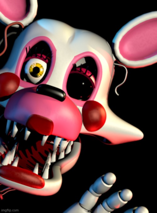 Mangle FNAF | image tagged in mangle fnaf | made w/ Imgflip meme maker