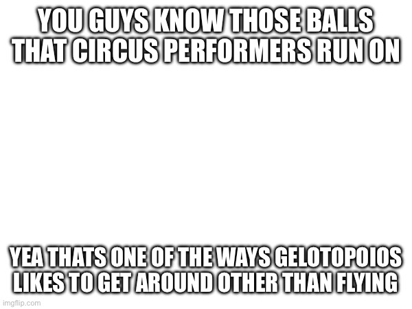 SPEEEEED | YOU GUYS KNOW THOSE BALLS THAT CIRCUS PERFORMERS RUN ON; YEA THATS ONE OF THE WAYS GELOTOPOIOS LIKES TO GET AROUND OTHER THAN FLYING | made w/ Imgflip meme maker