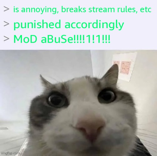 Greentext 'look inside' X meme | is annoying, breaks stream rules, etc punished accordingly MoD aBuSe!!!!1!1!!! | image tagged in greentext 'look inside' x meme | made w/ Imgflip meme maker