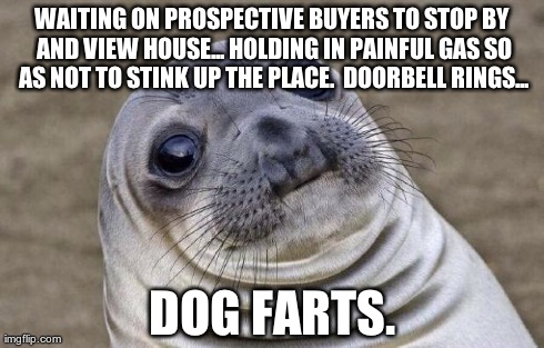 Awkward Moment Sealion | WAITING ON PROSPECTIVE BUYERS TO STOP BY AND VIEW HOUSE... HOLDING IN PAINFUL GAS SO AS NOT TO STINK UP THE PLACE. 
DOORBELL RINGS... DOG FA | image tagged in memes,awkward moment sealion,AdviceAnimals | made w/ Imgflip meme maker